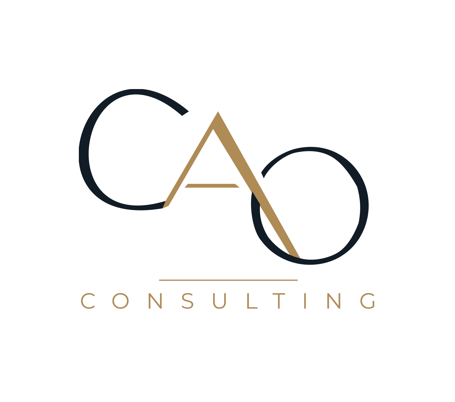 CAO Consulting